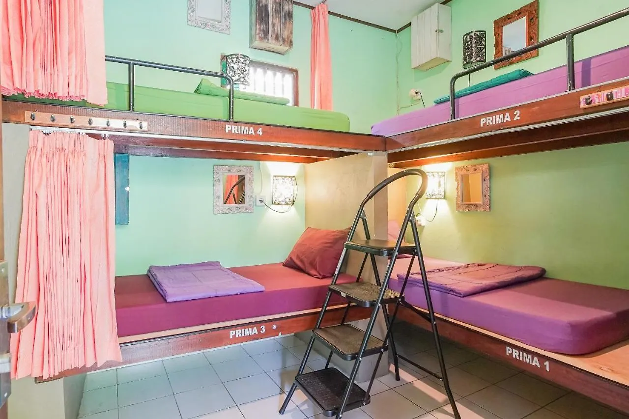 Padi-Padi Hostel & Bar Ubud  Indonesia